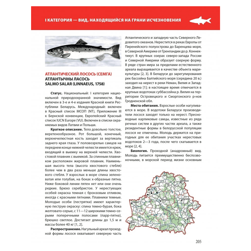 Книга "Красная книга Республики Беларусь. Животные" - 11