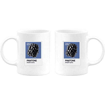 Кружка керамическая "Color of Belarus. Pantone Azhany nyama", 330 мл, белый