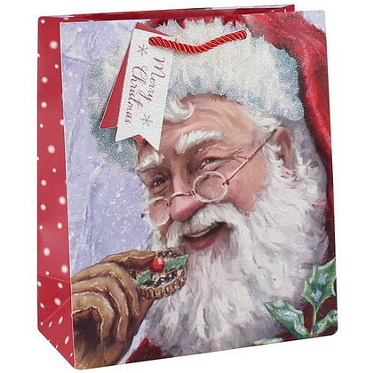 Пакет бумажный подарочный "Trad Santa", 21.5x10.2x25.3 см, ассорти