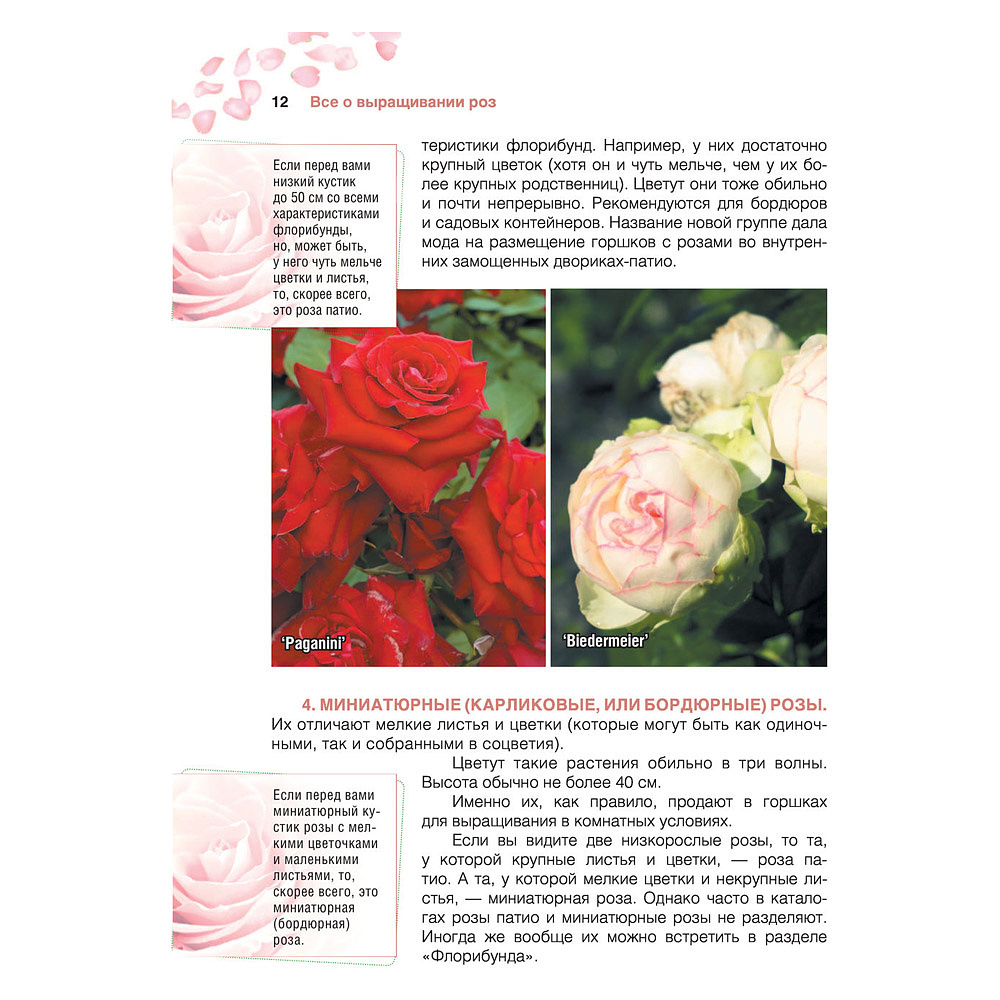 Книга "Сад любимых цветов с Ларисой Кочелаевой", Лариса Кочелаева - 11