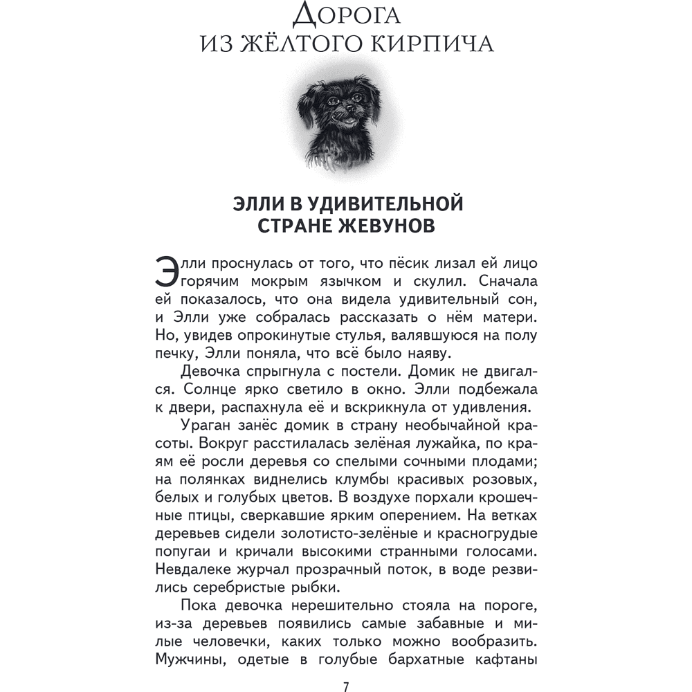 Книга "Книги для внеклассного чтения. Волшебник Изумрудного города", Александр Волков - 14