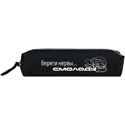 Пенал "Фразы с характером. Бререги нервы смолоду", 1 отделение - 2