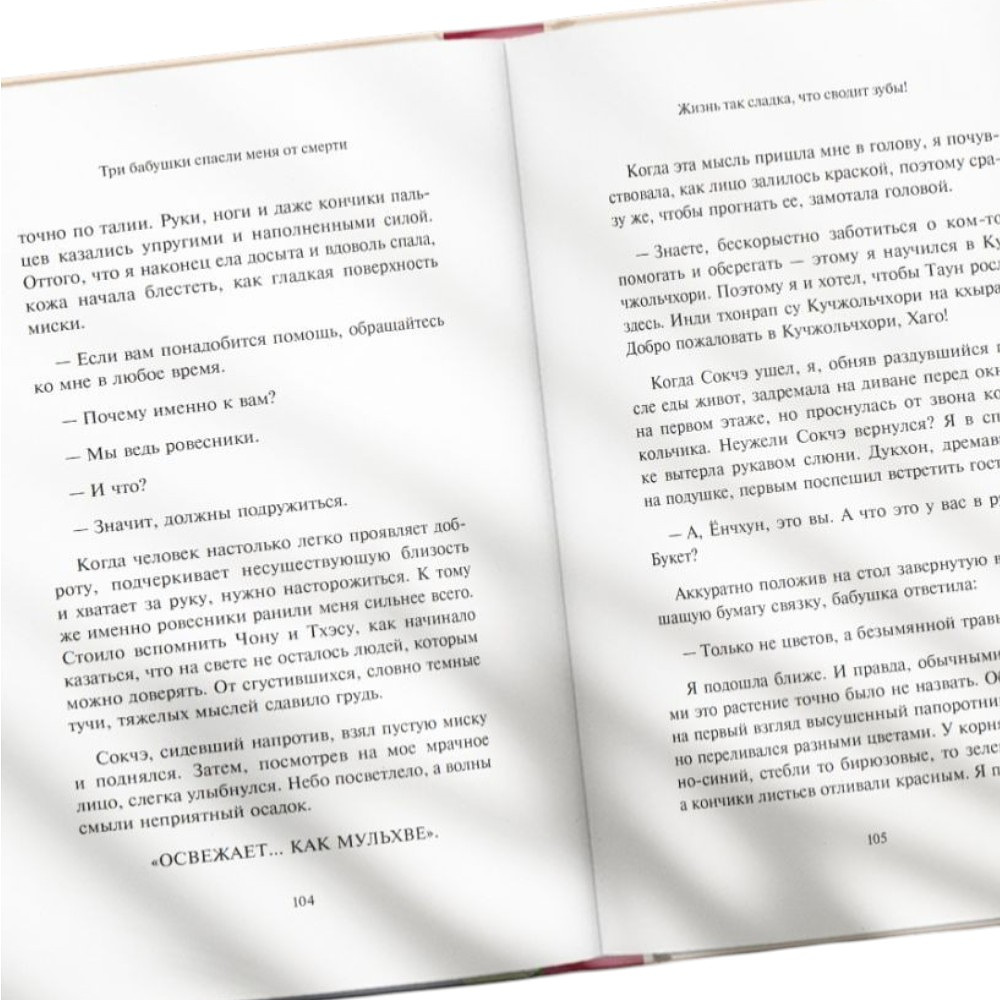 Книга "Healing stories. Три бабушки спасли меня от смерти", Сыльги Ким - 5