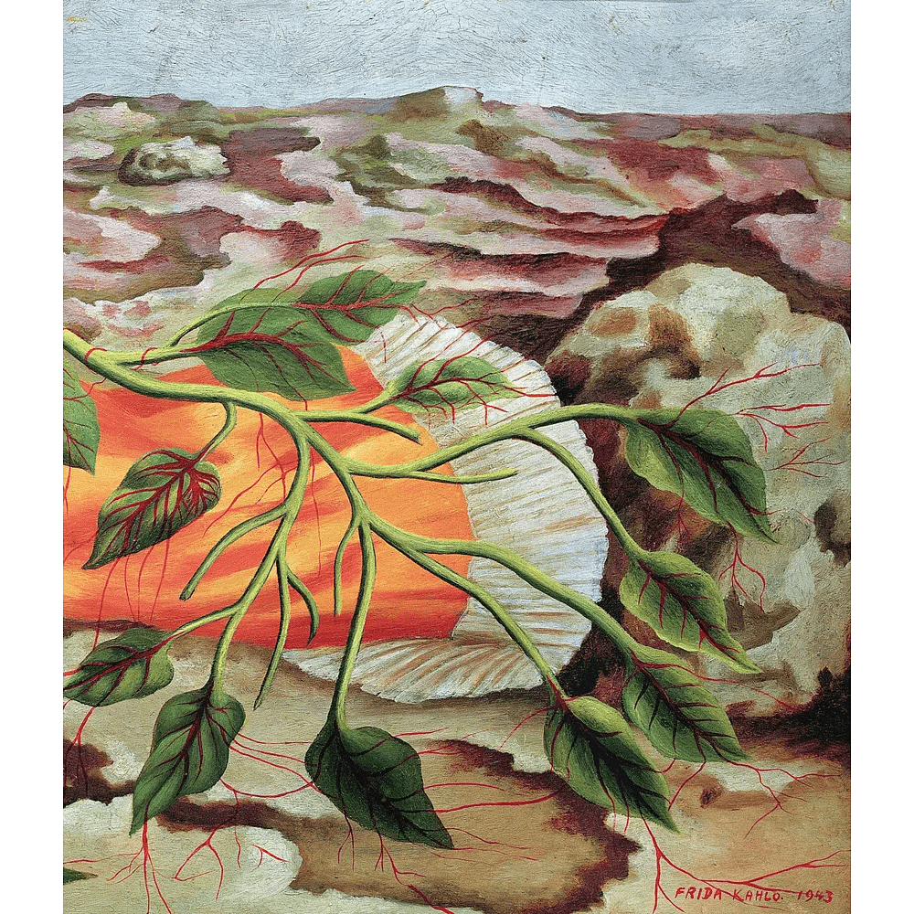 Книга "Истории Фриды. Жизнь и приключения Фриды Кало, бунтарки и изгоя", Альба Романо Паче - 8