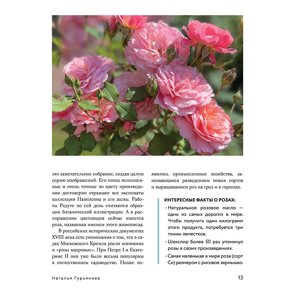 Книга "Розы в саду. Практический курс начинающего розовода", Наталья Гурьянова - 11