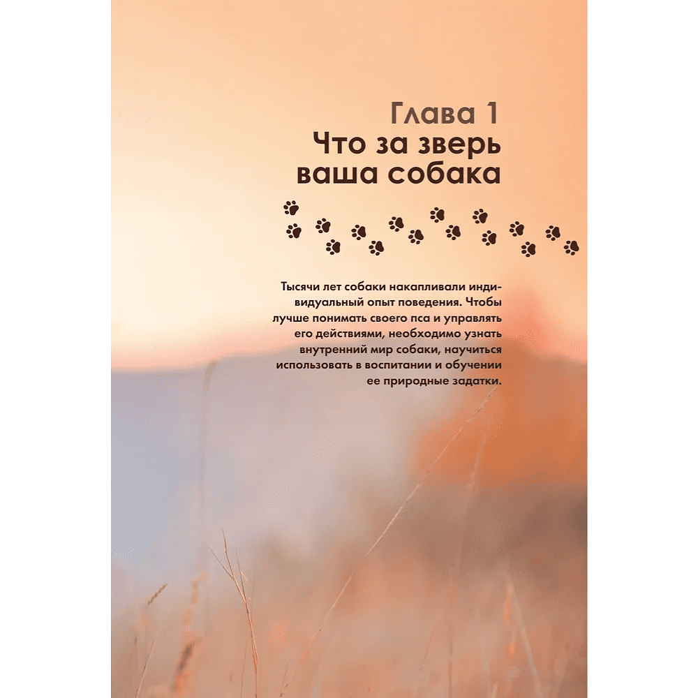Книга "Дрессировка и воспитание собаки", Андрей Шкляев - 9