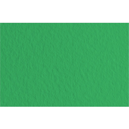 Бумага для пастели "Tiziano", 50х65 см, 160 г/м2, зеленый