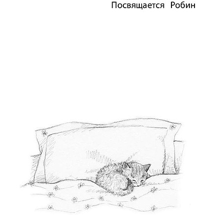 Книга на английском языке "Котёнок Одуванчик, или Игра в прятки = Smudge the Stolen Kitten", Вебб Х - 8