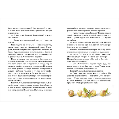 Книга "Деревня Гусиные Лапки. Три истории в одной книге", Андрей Снесарь - 7