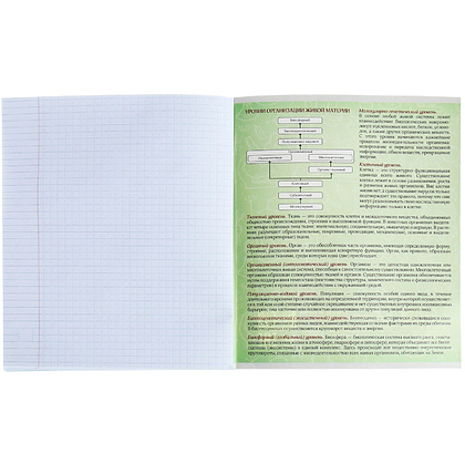 Тетрадь А5 48 л., клет. "На Чёрном. Биология" скоба сбоку, обл. мел. карт., УФ-лак, черный - 2