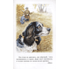 Книга "Детское чтение. Лесной голосок. Рассказы", Георгий Скребицкий - 7