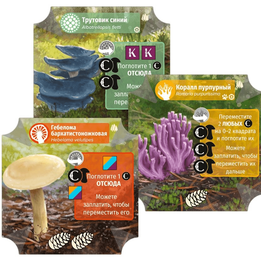 Игра настольная "Грибы и корни: Шёпот леса" - 3