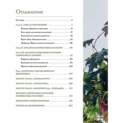 Книга "Цветок в горшке. Как посадить комнатные растения и не сесть в лужу", Ксения Занина - 2