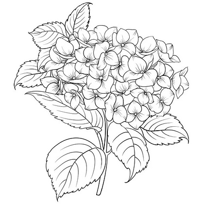 Раскраска антистресс "Уникальные цветы" - 7