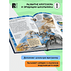 Книга "Большая энциклопедия школьника. Книга вопросов и ответов" - 2