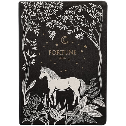 Ежедневник датированный "Fortune" на 2026 год, А5, черный