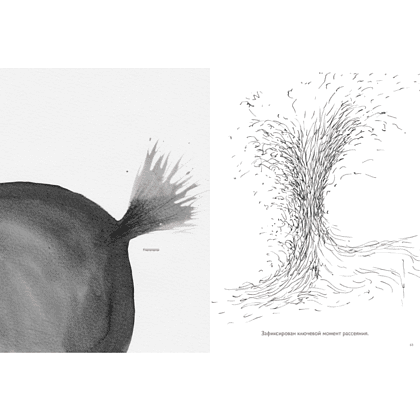 Книга "Движение: изображение объектов в динамике", Петер Бурбом, Тим Прётель - 5