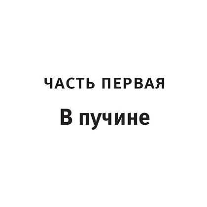 Книга "Исчезновение Стефани Мейлер", Жоэль Диккер - 10