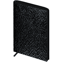 Ежедневник недатированный "Аспид Глосс", А6+, 320 страниц, линейка, черный