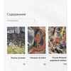 Книга "Современное искусство в деталях. 75 шедевров", Сьюзи Ходж - 2