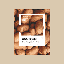 Сумка-шоппер «Pantone 2025» из переработанного хлопка 320 г/м2, натуральный