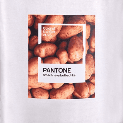 Набор сувенирный "Футболка унисекс оверсайз "Pantone 2025", XS, белый + открытка-стикер 3D" - 6