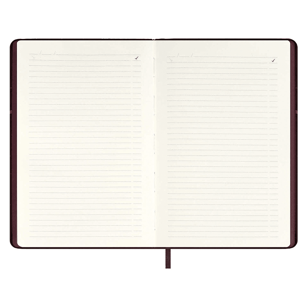 Ежедневник недатированный "Софт-тач", А5, 240 страниц, бордовый - 10