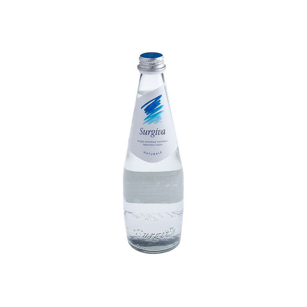 Вода минеральная природная питьевая «Surgiva», 0.5 л., негазированная, 20 бут/упак - 2