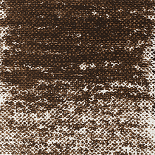 Пастель масляная "Van Gogh", 416.5 сепия