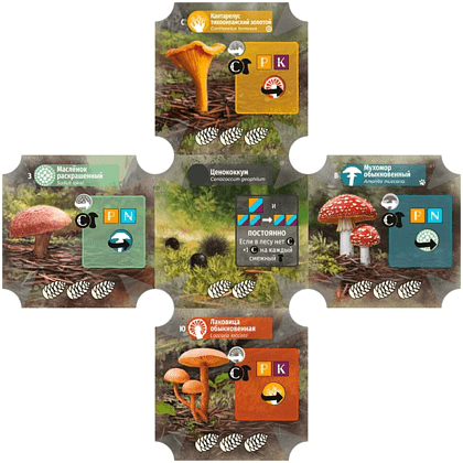 Игра настольная "Грибы и корни" - 3