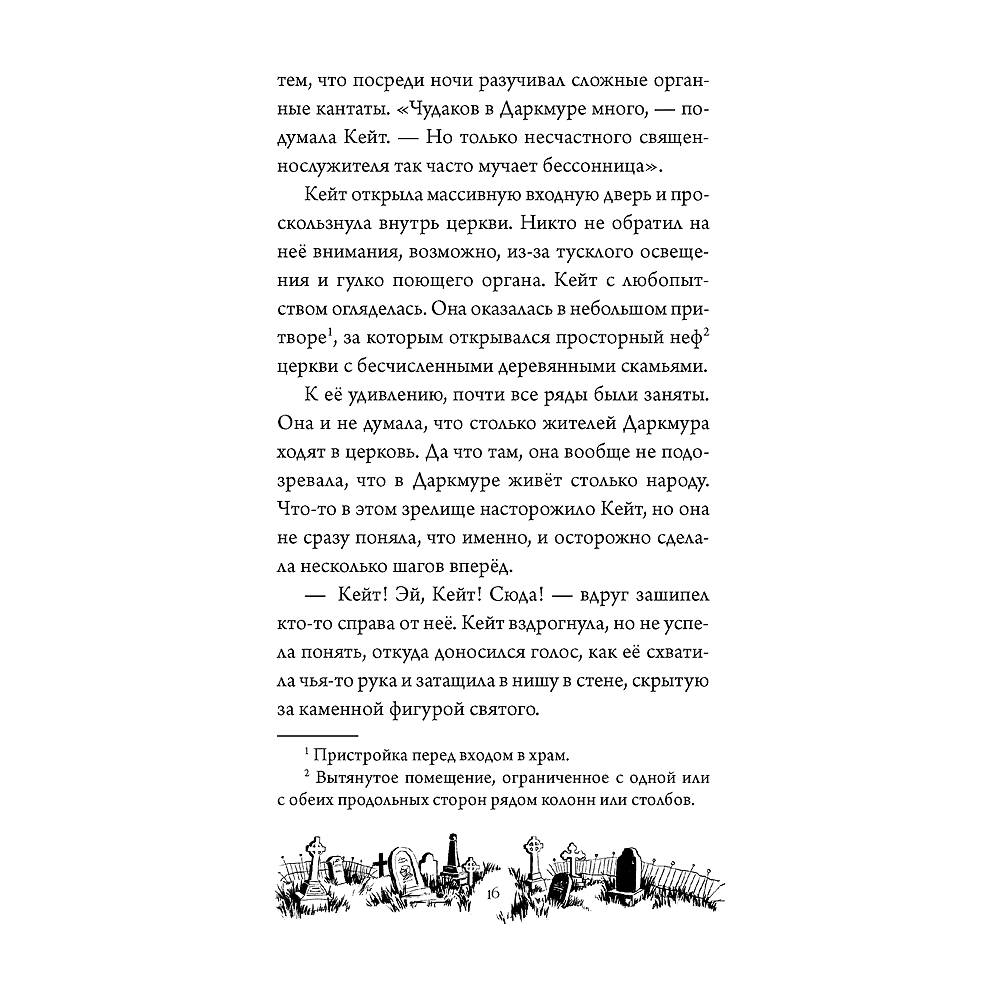 Книга "Тайна Даркмур-Холла. Проклятие четырёх ветров", Нина Шевелинг - 10