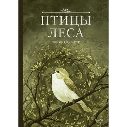 Книга "Птицы леса. Артбук", Geo Saiko, AquarelleWolf