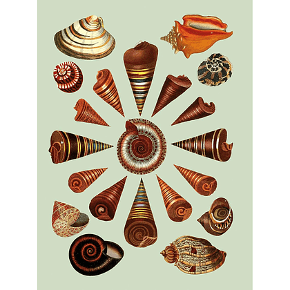 Книга на английском языке "The Antiquarian Sticker Book: An Illustrated Compendium of Adhesive Ephemera", Odd Dot - 8