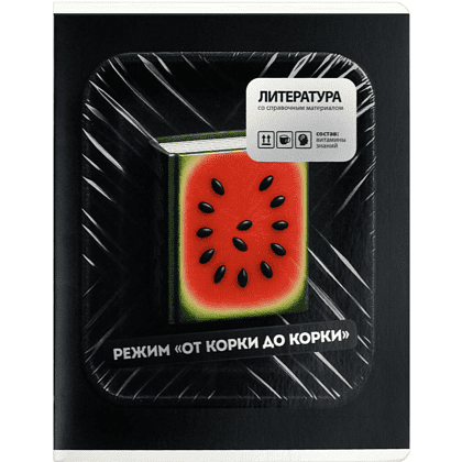 Тетрадь предметная "Режим "от корки до корки". Литература", А5, 48 листов, линейка