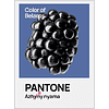 Кружка керамическая "Color of Belarus. Pantone Azhany nyama", 330 мл, белый - 5