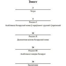 Книга "Як гавораць беларусы", Вадзім Шклярык