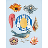 Книга на английском языке "The Antiquarian Sticker Book: An Illustrated Compendium of Adhesive Ephemera", Odd Dot - 5