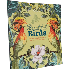 Раскраска на английском языке "Colouring Book. Beautiful Birds"