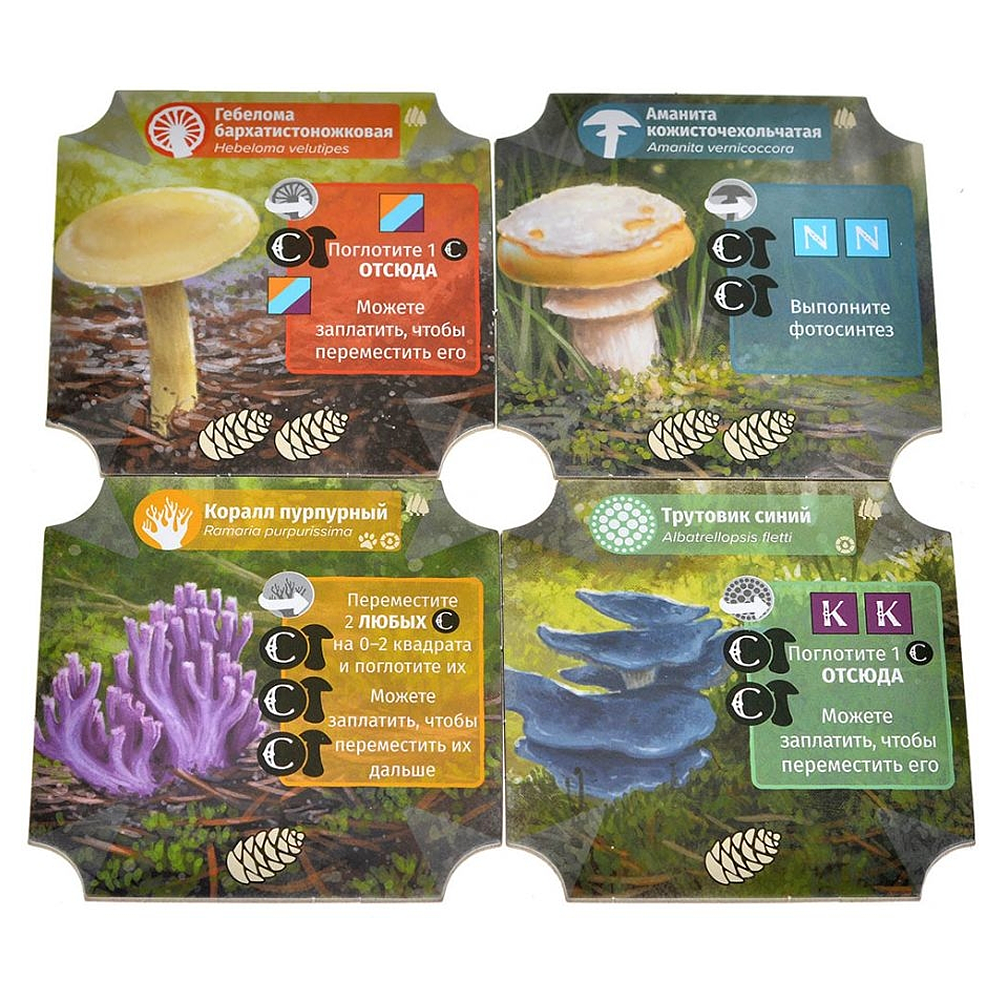 Игра настольная "Грибы и корни: Шёпот леса" - 6