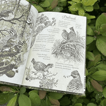 Книга "Птицы леса. Артбук", Geo Saiko, AquarelleWolf - 6