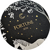 Ежедневник датированный "Fortune" на 2026 год, А5, черный - 3