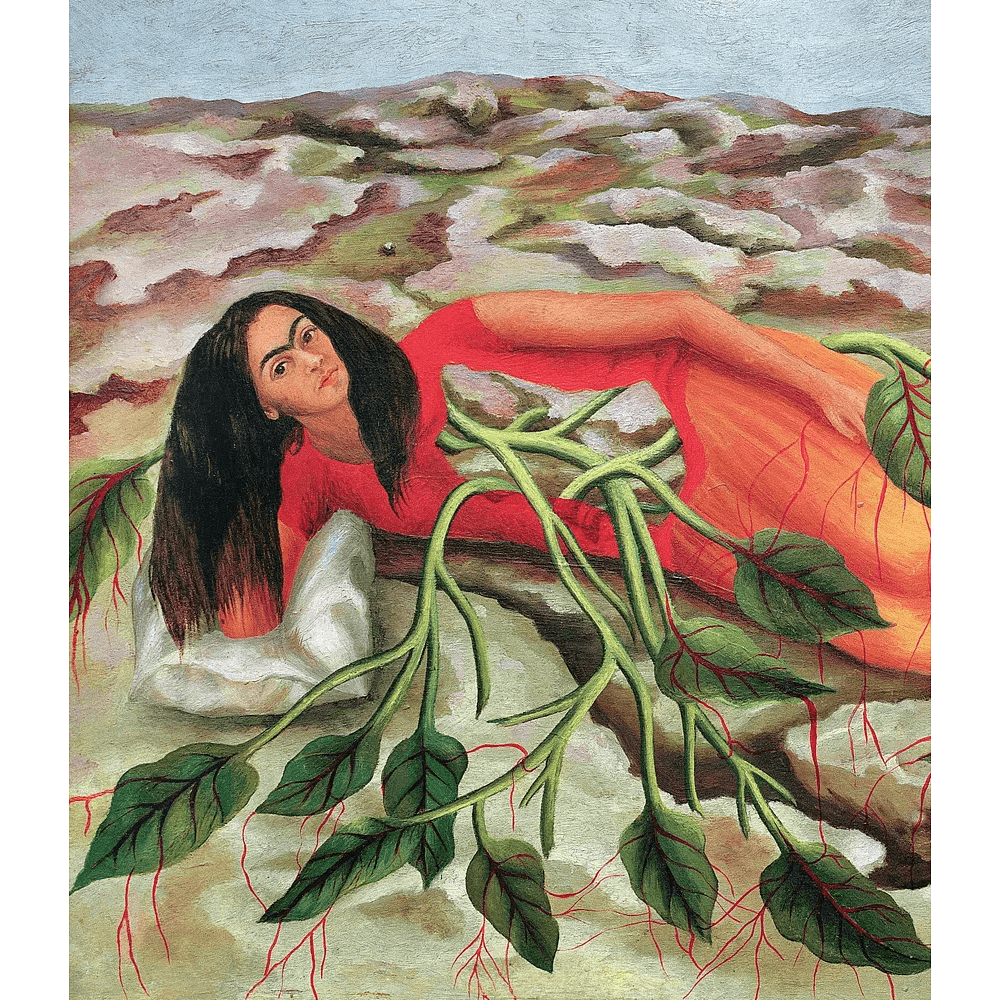 Книга "Истории Фриды. Жизнь и приключения Фриды Кало, бунтарки и изгоя", Альба Романо Паче - 7