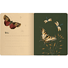Тетрадь "Fauna. Butterfly", A5, 48 листов, клетка, ассорти - 8