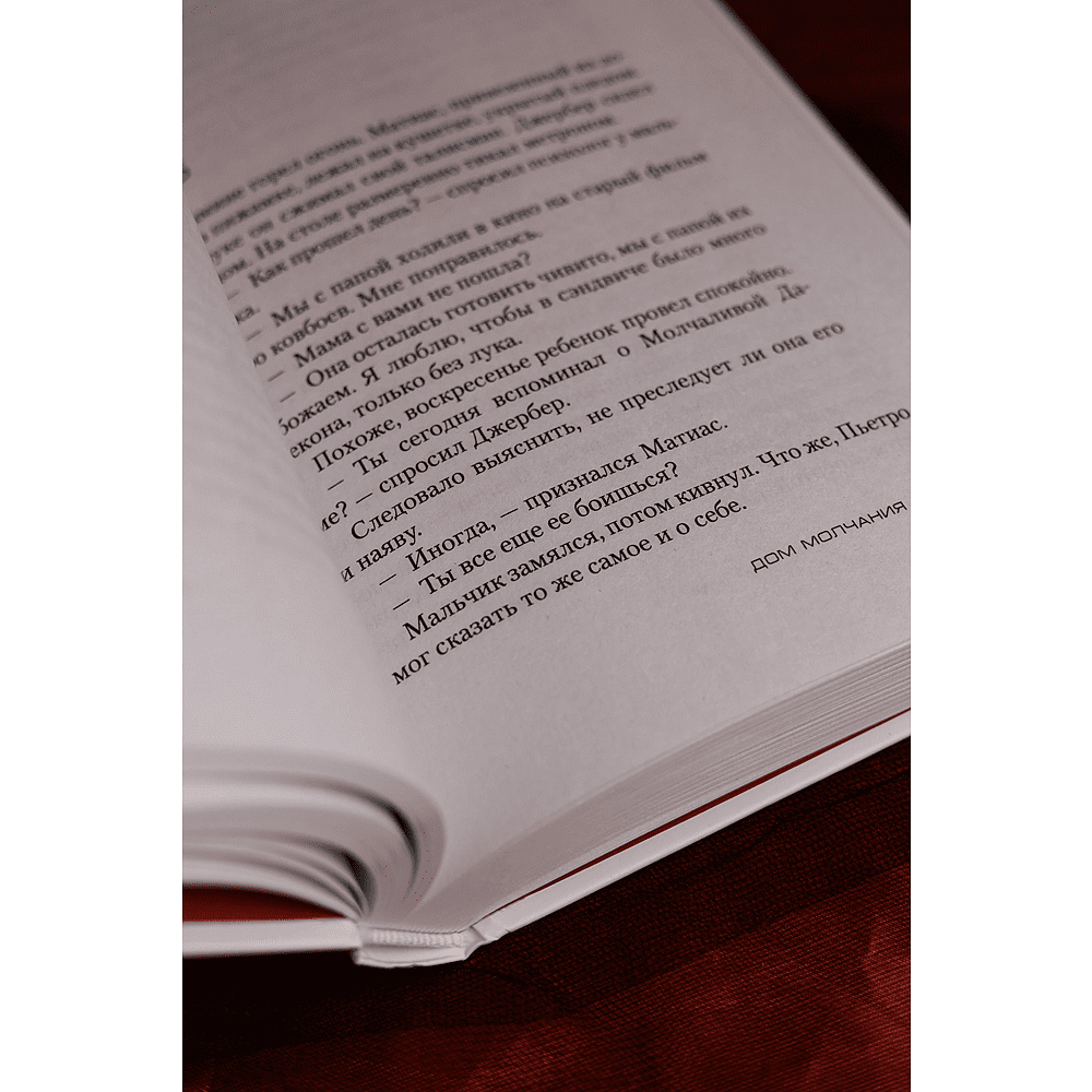 Книга "Дом молчания", Донато Карризи - 8