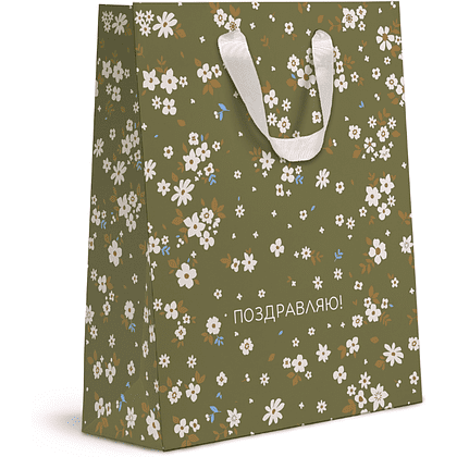 Пакет бумажный подарочный "Cherry Lady", 31х41х10 см, ассорти - 4