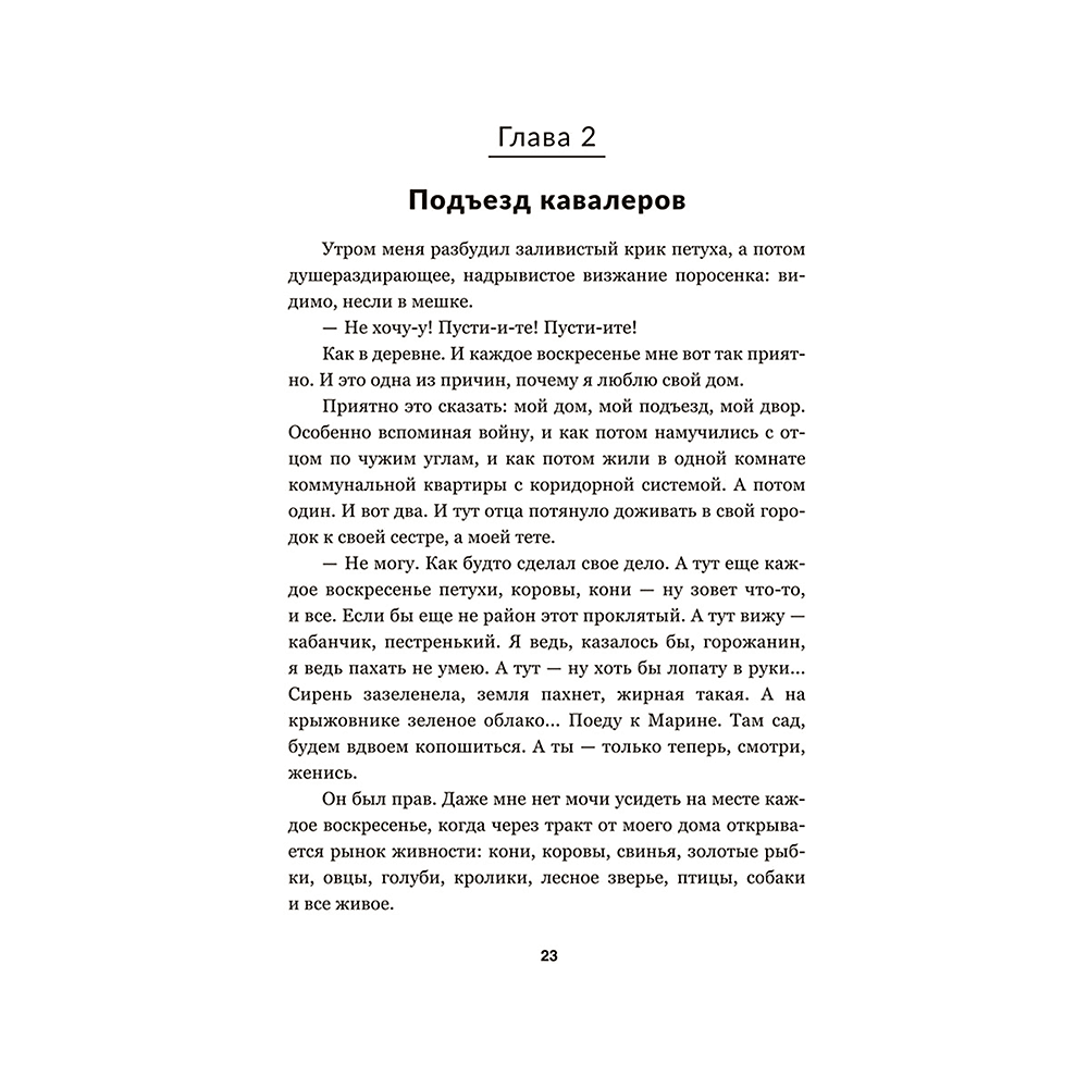 Книга "Чёрный замок Ольшанский", Владимир Короткевич - 9