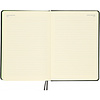 Ежедневник недатированный "FIORENZO Pastel soft touch", A5, 168 листов, черный, срез салатовый - 7