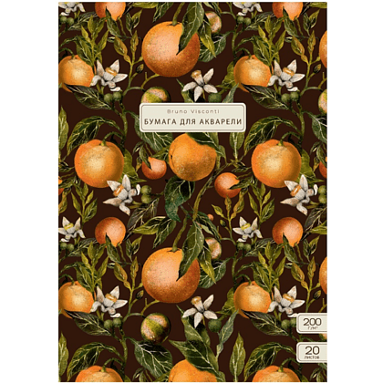 Блок бумаги для рисования "Flora. Paradise. Oranges", А3, 200 г/м2, 20 листов