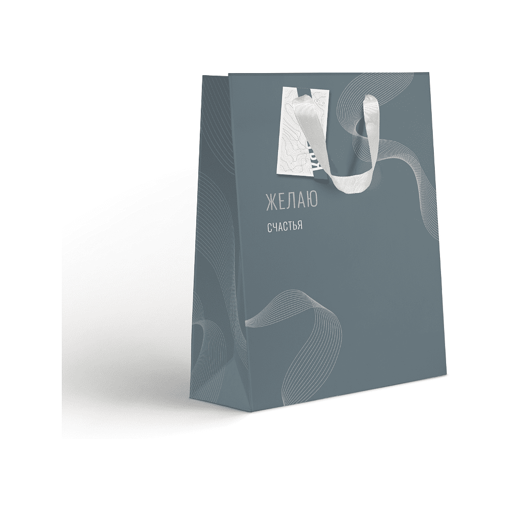 Пакет бумажный подарочный "Country LVS", 25.5х31.5х11 см, ассорти - 2