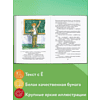 Книга "Книги для внеклассного чтения. Приключения Электроника", Евгений Велтистов - 4